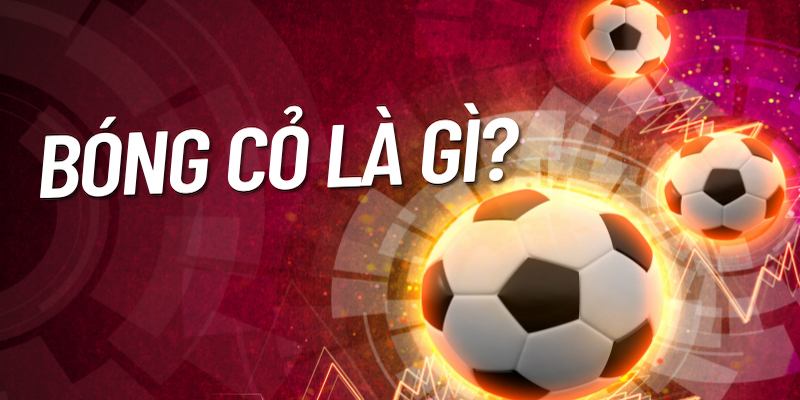 Bóng Cỏ Là Gì? | Cơ Hội Kiếm Tiền Đỉnh Cao 2024 6 Giới thiệu sơ lược bóng cỏ là gì người chơi cần nắm bắt